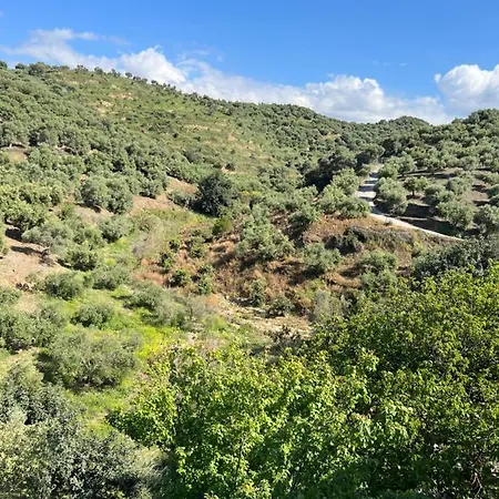 Eugene Apartment Chania (Crete)